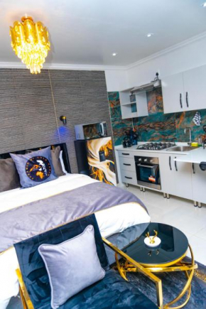 Homes of Ace Studio 2